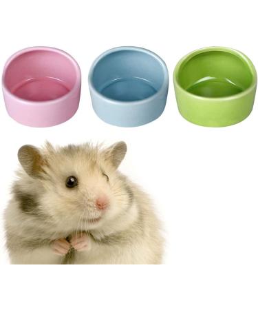 CAJHFIZHANGU 1pc Gradient Side Hamster Ceramic Bowl Hamster Food Bowl Ceramic Water Bowl Small Animal Water Bowl Anti-bite Small Animal Food Bowl Water Feeder for Rabbit Hedgehog Guinea-Pig Green - Buy Online on GoSupps.com