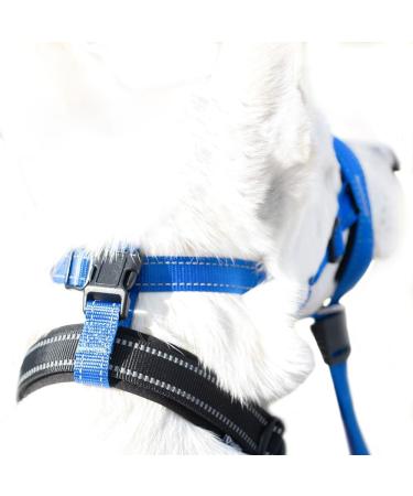 Zerodis Dog Head Halter with Safety Strap Stops Heavy Pulling On The Leash Padded Headcollar for Small Medium and Large Dog Sizes Adjustable Head Collar for Dogs (Red) L (about 6 8 Years Old) Red - Buy Online on GoSupps.com