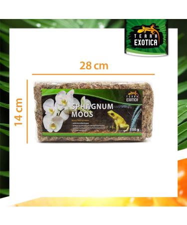 Terra Exotica Sphagnum Moss - Premium 300g Peat Moss for Garden Houseplants & Terrariums | Fast International Shipping - Buy Online on GoSupps.com