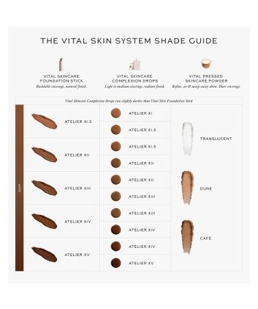 Buy Westman Atelier Vital Skin Foundation Stick - Atelier XV 9g | Premium International Shipping - Buy Online on GoSupps.com