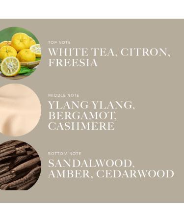 Aroma360 Little White Lies - 50mL | Premium International Shipping | Shop Now - Buy Online on GoSupps.com