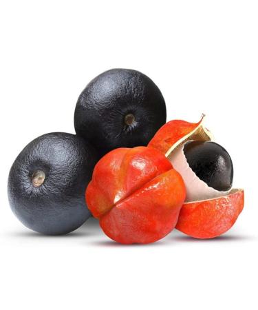 Original Brazilian Guaran Syrup T'SANGO 1L - Pack of 1 | Authentic Guarana Extract - Buy Online on GoSupps.com