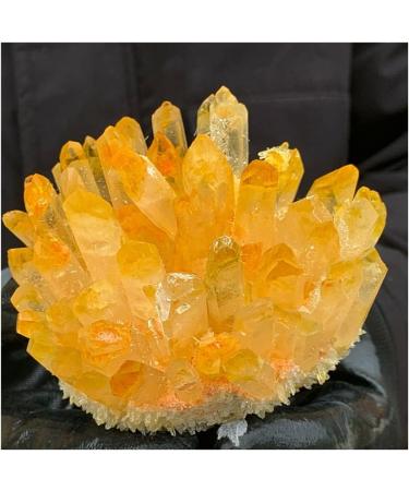 Phantom Quartz Crystal Cluster Specimen Home Collections (Size : 500-550g) - Buy Online on GoSupps.com