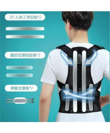 ZUIAI Adult Hunchback Orthodontic Men's Special Improvement Hunchback Hunchback Back Correction Artifact Posture Belt(Medium) Medium D - Buy Online on GoSupps.com