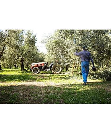  Galantino Ceramic Orcio Hand Painted Yellow Pattern with Extra Virgin Oil 500ml - 100% Italian Galantino - Buy Online on GoSupps.com