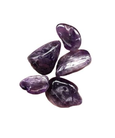 Natural Crystal Rough Natural Crystal Rough 5pcs Natural Amethyst Stones Quartz Crystal Minerals Tumbled Stone for