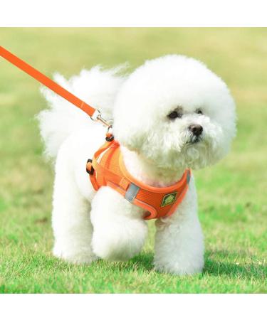Femax Soft Mesh Dog Harness with Leash for Small & Medium Dogs | Adjustable No Pull Vest & Reflective Design for Chihuahua & Cats - XS (26-29cm) - Orange - Buy Online on GoSupps.com