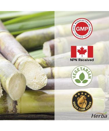 Herba Policosanol 40mg with Plant Sterols and Fenugreek - 120 Vegetable Capsules | Cholesterol Supplement to Lowering and Supporting Healthy Cholesterol Levels and Heart Health | Extra Strength | Made in Canada - Buy Online on GoSupps.com