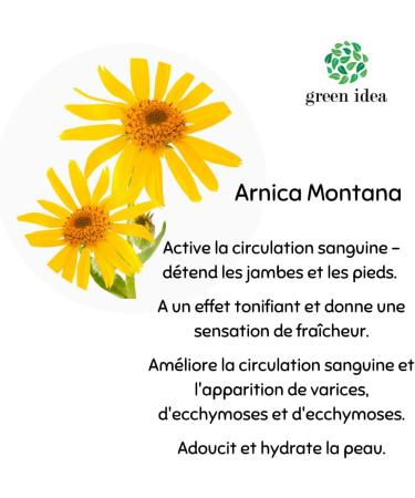  green idea green idea - Arnica Montana Herb Extract - Sports Massage - For Bruises and Sprains - Bruises - Hair Strengthening - Muscle Relaxation - Natural - With Menthol 100 ml - Buy Online on GoSupps.com