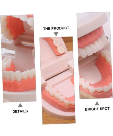 Healvian 2 Sets Early Dental Education Toys - Wooden Reusable Clean Model for Preschool Learning | International Shipping - Buy Online on GoSupps.com