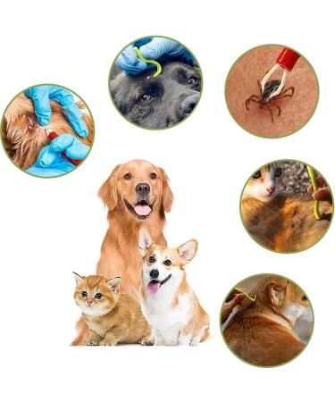 Nepfaivy Ticking Pliers for Dogs Cats & Kids - 3 Tick Hooks & 2 Tick Tweezers - Safe & Easy Tick Remover in Red & Green - Buy Online on GoSupps.com