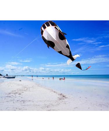 Hengda KITE-3D: Giant Black Dolphin Orcas Whale Breeze Kite for Kids & Adults - Buy Online on GoSupps.com