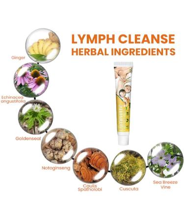 BAOK Lymph Ointment - Anti-Bunch Care with Ginger Swelling Reducer & Quick Lymph Drainage - Fine Texture Formula - Buy Online on GoSupps.com