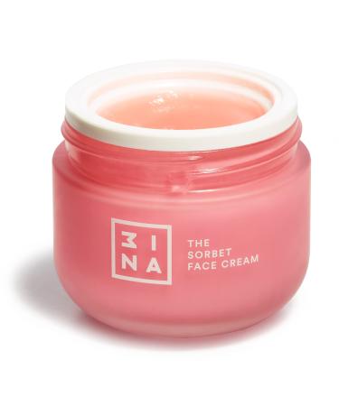3INA MAKEUP - The Sorbet Face Cream - Moisturising Cream with Niacinamide - Face Cream Smoothing with Olive Oil & Sweet Almond Oil - Day and Night Face Cream for All Skin Types - Vegan - Cruelty Free