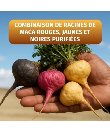 Maca 3-en-1-Complexe Noir-Rouge-Or Haute Dosage : 112.000 mg Poudre de Maca (2.800 mg Extrait (40:1)) Stock pour 2 Mois V gan & Test en Laboratoire Green Natural - Buy Online on GoSupps.com