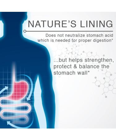 Lane Innovative Nature's Lining Chewable Tablets - Long Lasting Stomach Relief & Digestive Balance Support - 60 Count - Buy Online on GoSupps.com