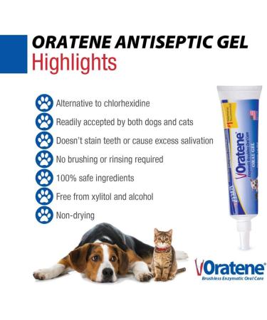 ZYMOX Oratene Brushless Oral Gel for Dogs and Cats - 1oz by Pet King Brands - Buy Online on GoSupps.com
