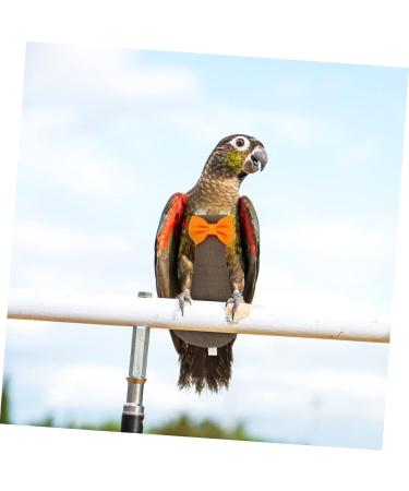 PopetPop 3-Pack Flying Bird Diapers | Parrot & Lovebird Suits | Bird Urine Pads & Cotton Accessories 20x11cm - Buy Online on GoSupps.com