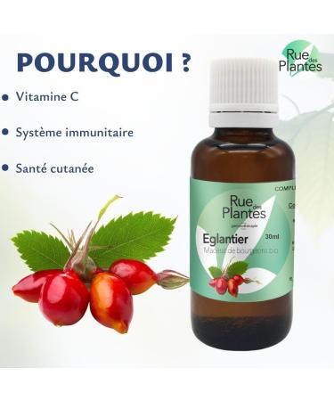  RUE DES PLANTES Gemmotherapy Rosehip 30 ml - Buy Online on GoSupps.com