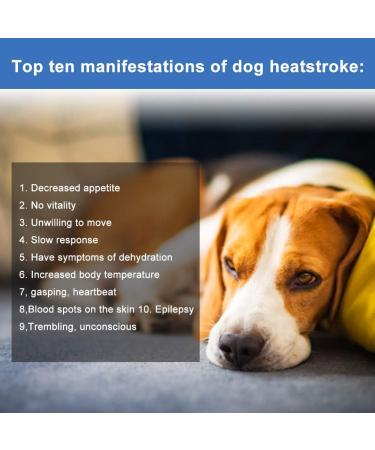Dog Cooling Vest Harness | Swamp Cooler Evaporative Coat for Hot Weather | Ice Silk Breathable Shirt for Dogs | Pet Anxiety Relief | Size Small - Buy Online on GoSupps.com