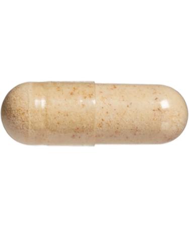Natural Factors Ginkgo Biloba Phytosome 60 mg 60 Capsules - Buy Online on GoSupps.com