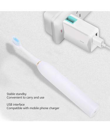 Buy Electric Waterproof Toothbrush | Leaning Tower of Pisa Design | Ideal for Home Use - Buy Online on GoSupps.com