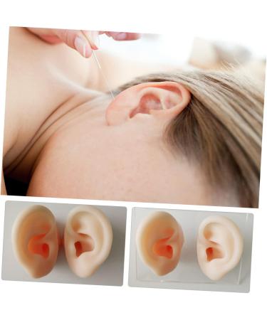 Tofficu 1 Pair Silicone Ear Picking Practice Tunnels | Simulated Auditory Meatus Model for Ear Display | Artificial Display Ear Mold - Silica Gel - Buy Online on GoSupps.com