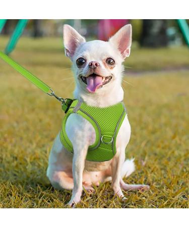 Joyal Dog Harness for Small Dogs | Reflective Soft Padded & Breathable Air-Mesh XS - Green (34-38cm) - Buy Online on GoSupps.com