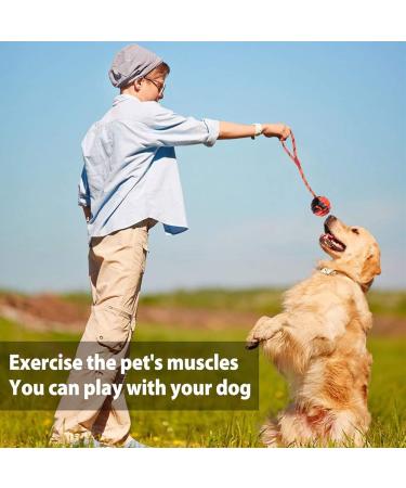 2 PCS Dog Training Ball on Rope Solid Rubber Rope Ball for Dog Training Tug Ball Toy for Medium and Large Dog Tough Rope Toy Non-Toxic and Durable Dog Toys - Buy Online on GoSupps.com