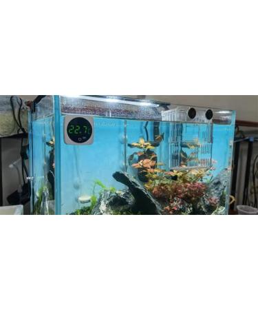 LED Touch Screen Aquarium Thermometer - Accurate Stick-on Temperature Sensor for Fish Tank, Turtle, Betta, Amphibians & Reptiles - Buy Online on GoSupps.com