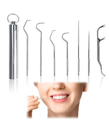 Stainless Steel Toothpicks 7pcs Metal Toothpick Sets Portable Cleaning Tooth Hook Scraper Picks Reusable Toothpick Holder Dental Picks Kits for Home Camping Picnic Travel Outdoor Silver