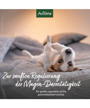 Aniforte Gastrointestinal Powder for Dogs 500g | Natural Digestive Support & Stomach Protection with Bentonite & Herbs - Buy Online on GoSupps.com