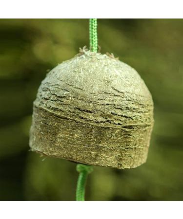 M hldorfer HeuGaudi Carrot - 1 kg | 100% Natural Snacking Fun with Exclusive Hanging Rope | Buy Now for International Shipping - Buy Online on GoSupps.com