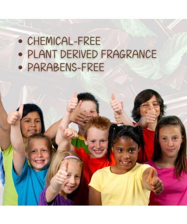 Lather Green Kids Body Lotion Plant Based Gentle Moisturizer with Shea Butter Safe for Sensitive Skin Cocoa Mint 3 Pack (8 oz Each) - Buy Online on GoSupps.com