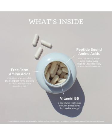 VTC VitaTradingCo. Amino Complex Protein Blend | 20 Free Form Peptide-Bound Amino Acids | with Vitamin B6 | for Muscle Recovery & Growth | 120 Veggie Capsules - Buy Online on GoSupps.com