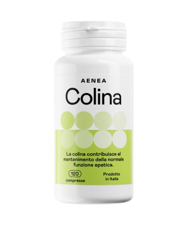 Choline Bitartrate 120 tabs High dosage (1200 mg) 4 month supply - Purifying action - Maintains normal liver function