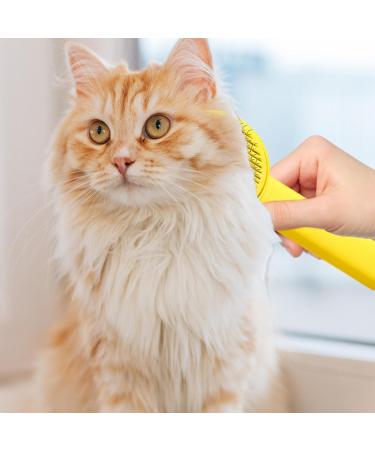 Buy Eactel Pet Care Tools - Ladybug Drafting Ridge for Cats & Dogs | Hand-held Undercoat Tool for All Fur Types - Yellow - Buy Online on GoSupps.com