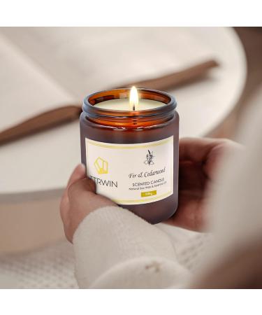 TTRWIN Fir & Cedarwood Scented Candle 200g | Long Lasting Wooden Fragrance | Natural Soy Wax | Aromatherapy Gift for Christmas & Mother's Day - Buy Online on GoSupps.com