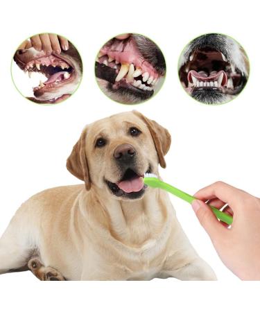 Meleebellot Dog Toothbrush Set - 4 Pieces with Triple Head & Long Grip - Pet Toothbrush for Dogs & Cats (Multi-Colored) - Buy Online on GoSupps.com