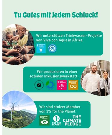 Kombuchery Orange Bio-Kombucha 12x330ml | Vegan Low-Calorie Fermented Tea Drink - Healthy & Sustainable - Buy Online on GoSupps.com