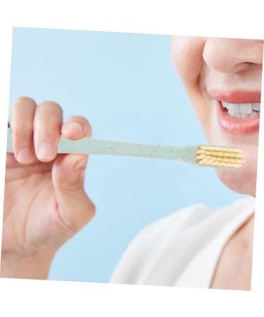 Beavorty 4-Piece Soft Toothbrush Set Gentle Teeth & Tongue Cleaning for a Healthier Smile | International Shipping - Buy Online on GoSupps.com