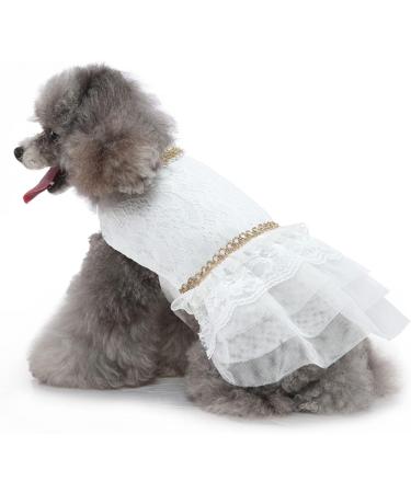 Qcwwy Princess Dress for Dogs & Cats - Comfortable Mesh Summer Dress for Small Pets - Breathable Polyester High-Time Fashion (M) - Buy Online on GoSupps.com