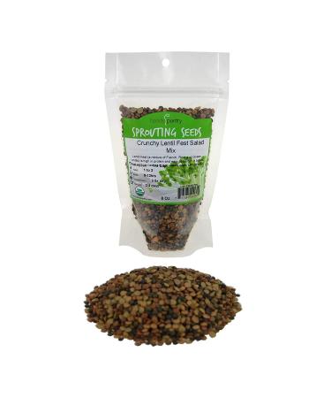 Crunchy Lentil Fest Sprouting Seed Mix - 8 Oz - Handy Pantry Brand - Organic - Green, Red & French Lentils- Edible Seeds, Salad, Soup, Sprouts & Food Storage