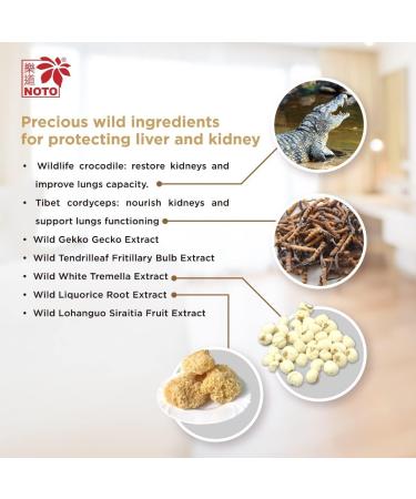 NOTO Perfect Lungs Health Supplements - 48 Capsules | Relieve Nasal Sensitivity, Improve Lung Health, Enhance Immunity - Buy Online on GoSupps.com