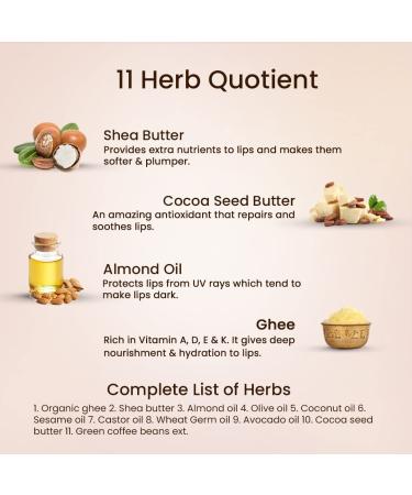 Shubhr Coffee Lip Balm with Ghee - 100% Ayurvedic Paraben & Sulphate Free 15g (10 Herbs) - Enhance Lip Brightness & Combat Dryness - Buy Online on GoSupps.com