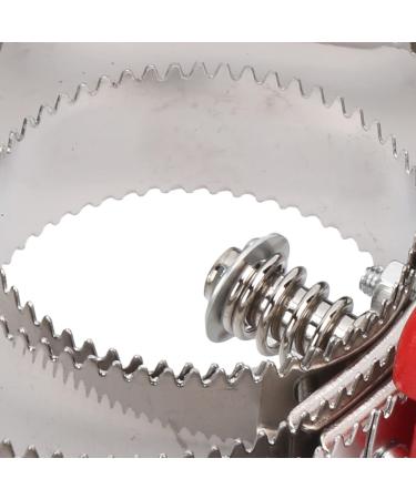 Buy Stainless Steel 6 Ring Curry Comb for Horses Sheep & Cows - Relieve Itching & Shedding (4 Turns) - International Shipping Available - Buy Online on GoSupps.com