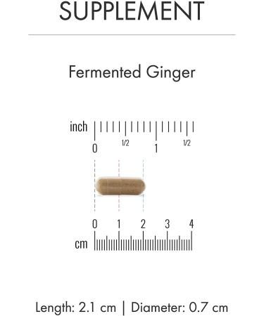 Dr. Mercola Fermented Ginger Capsules - 60 Count | Digestive & Immune Support - Buy Online on GoSupps.com