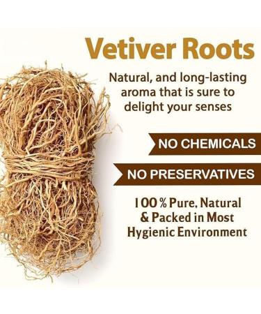 aj Vetiver Root 100g Khus Root Vetiveria Zizanioides Vala Kas Ramacham Vetiver for Hair Growth Healthy Skin (Pack of 1 X 100g) - Buy Online on GoSupps.com
