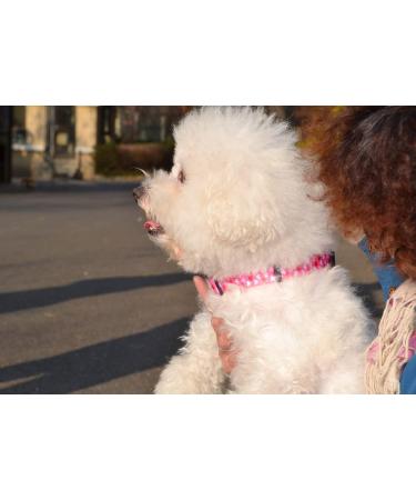 Mihqy Valentine's Day Dog Collar - Adjustable Heart Design for All Sizes (33-55 cm Neck) - Perfect Gift for Dog Lovers - Buy Online on GoSupps.com
