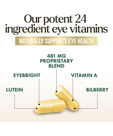 Eye Vitamins Supplements - 3x Strength Eye Health Vitamin with Lutein and Zeaxanthin - Vision Macular Health & Dry Eyes Support With Zinc Vitamins C E & Minerals Bottled in USA - 120 Capsules 120 Count (Pack of 1) - Buy Online on GoSupps.com